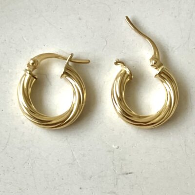 گوشواره ی حلقه ای پیچ کد 113