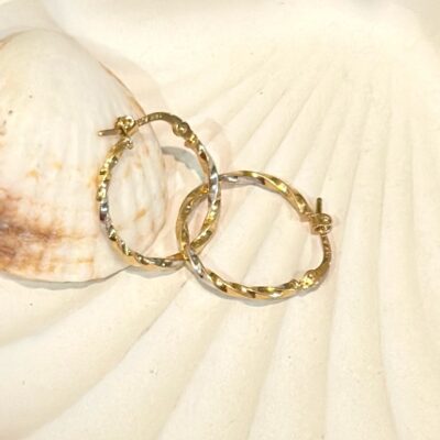 گوشواره حلقه ای پیج دو رنگ